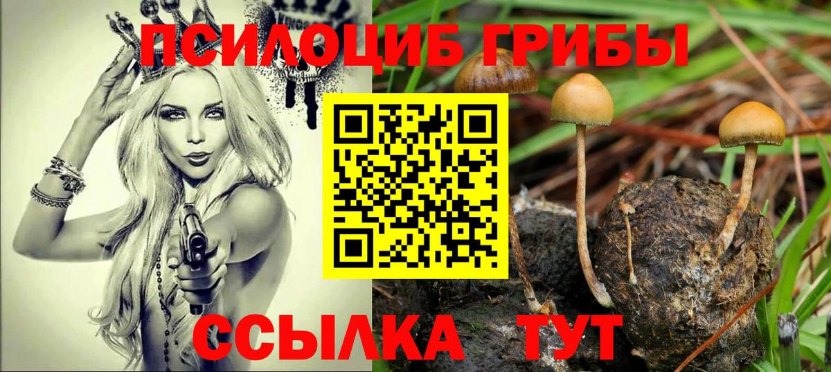 Галлюциногенные грибы Magic Shrooms Мыски